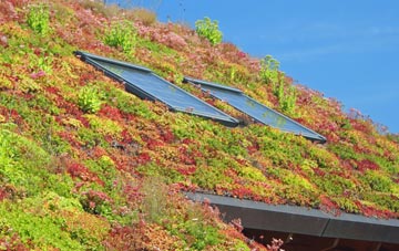 Abercwmboi living roof systems